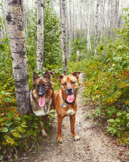 Vader & Molson