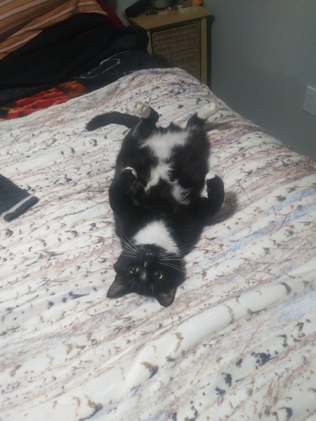 Bernard