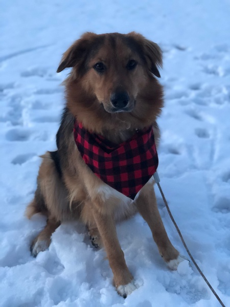Gunner