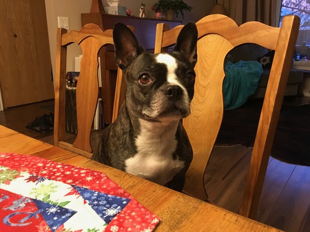 Lexi