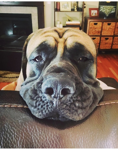 Odin