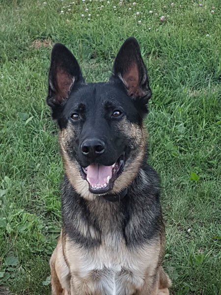 Max
