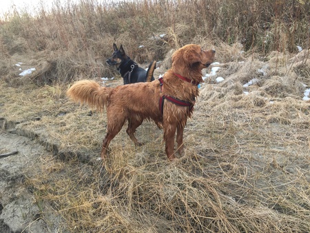 Hilo & Kona