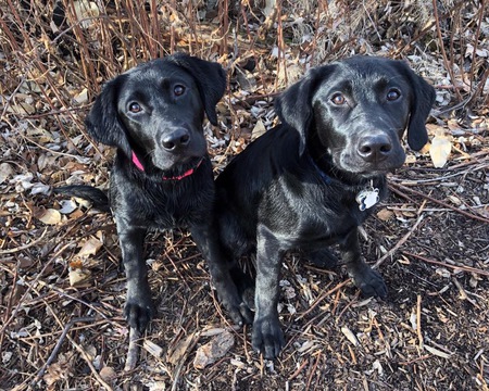 Ellie & Jackson