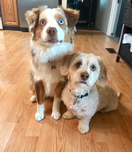 Piper & Tobi