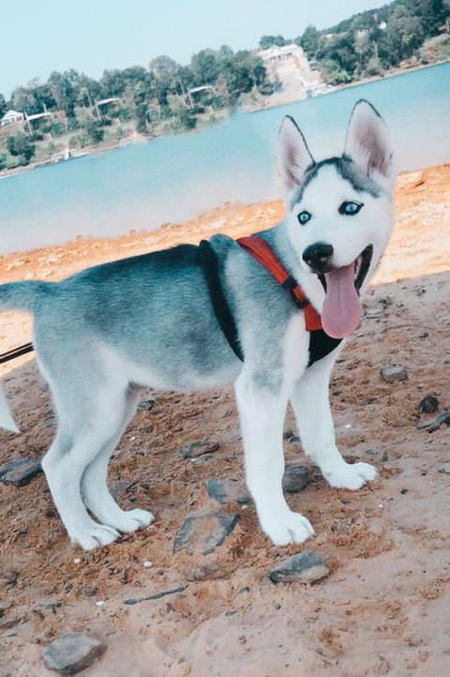 Ryker