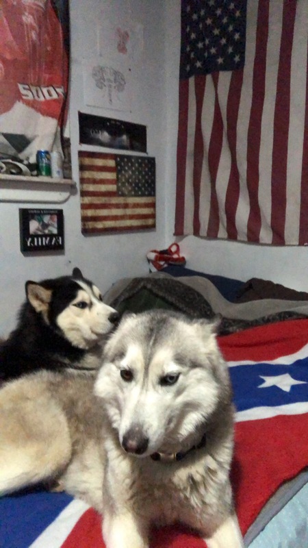 Skye and storm 