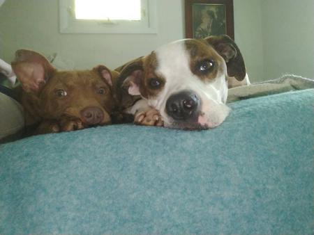 Emerson & Bruin