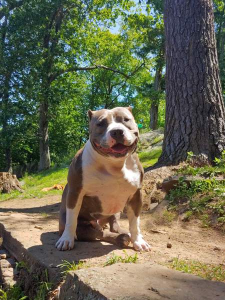 Tyson