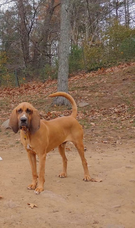 Tucker 