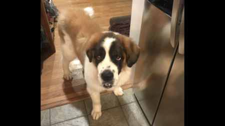 Zoey May 