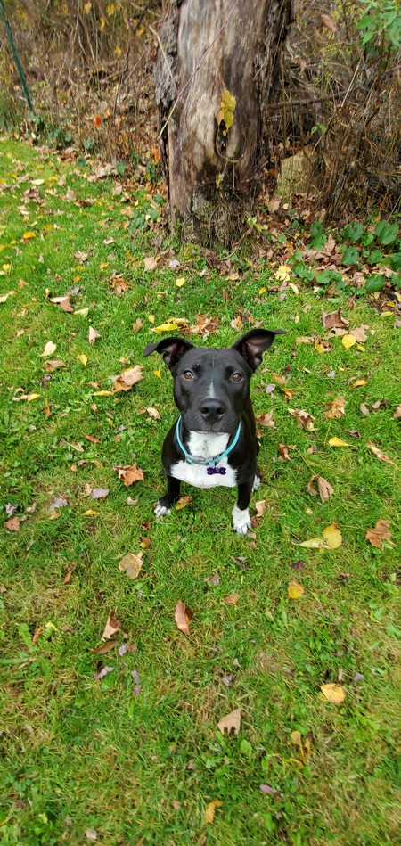 Luna (FKA Ruby)