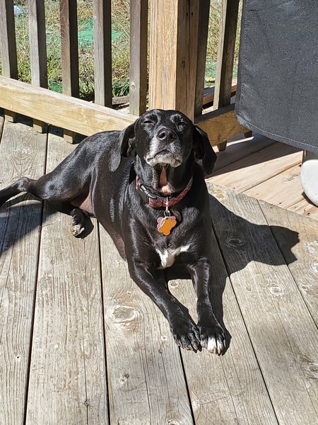 Raven (fka Tonka)