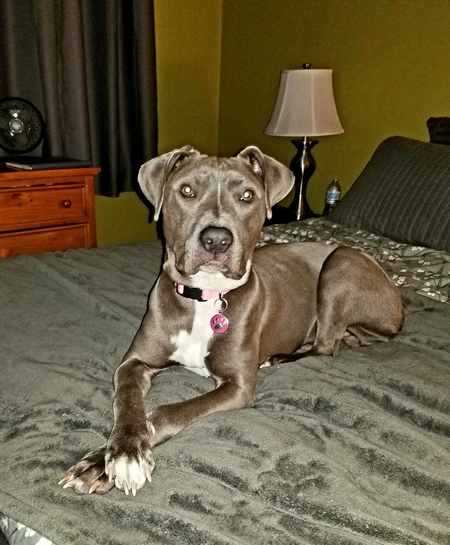 Marley