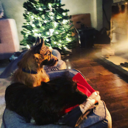 Finlay and Cora