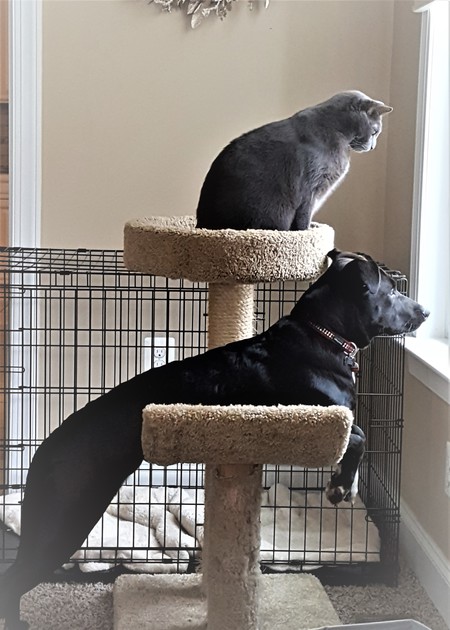 Izzy and Jobin