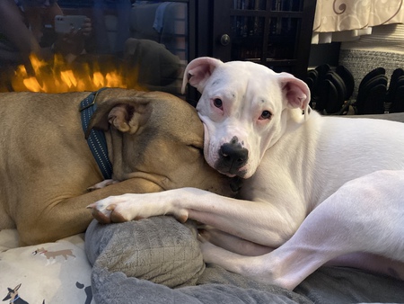 Zuul and Gozer