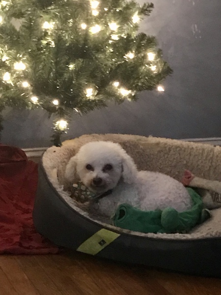 Rudy