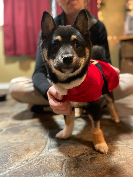 Peanut 