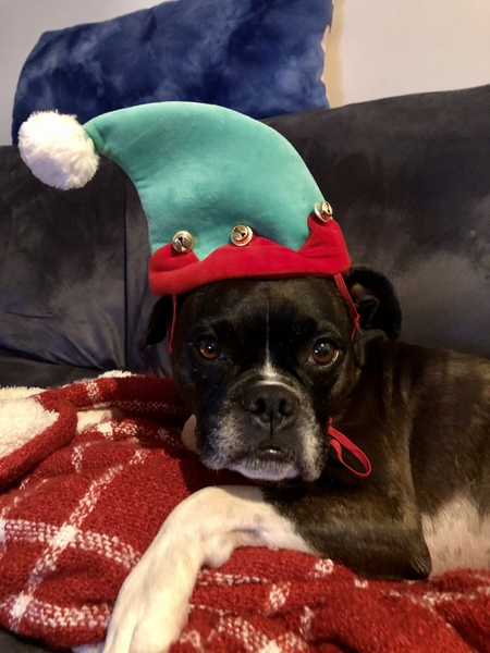 Pippa