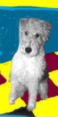 Winston