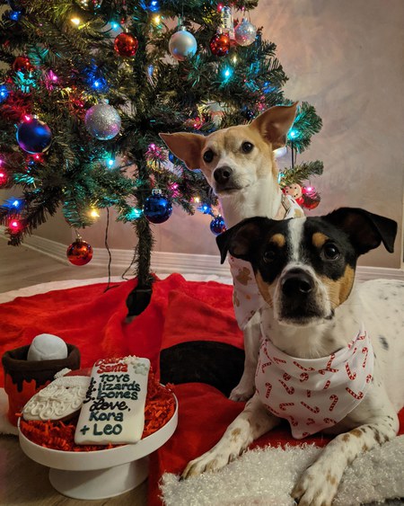 Kora & Leo