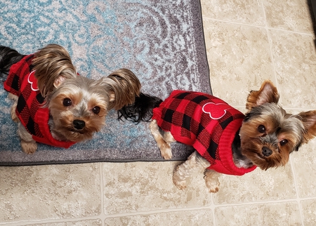 Bella & Ezio