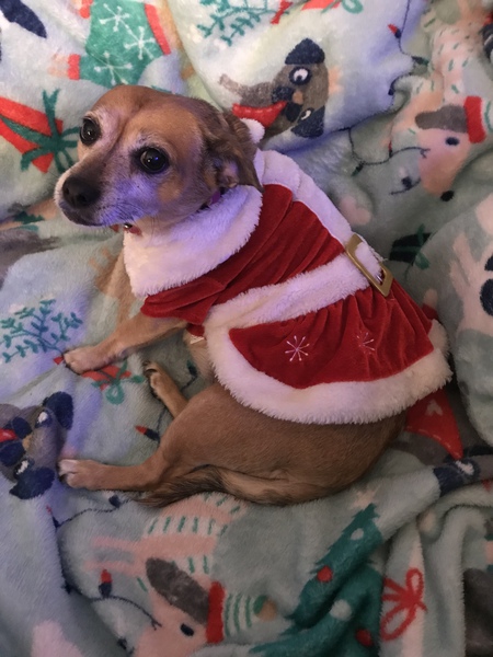 Mitzi