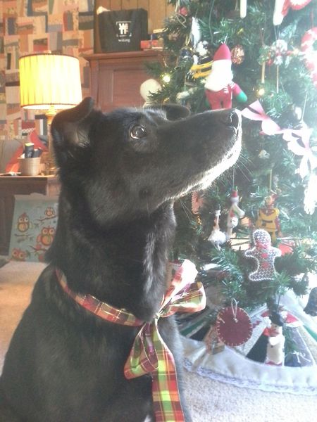 Maggie Mae