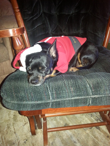 Mr. Mason