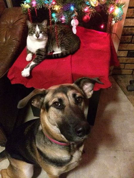 Bridgette and Valentine