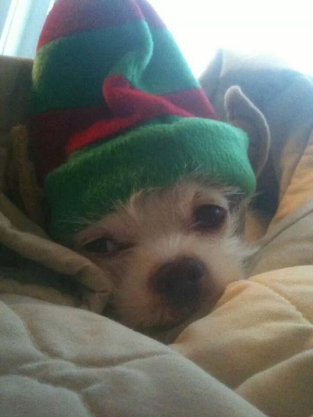 Petey