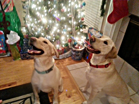 Riley & Drake