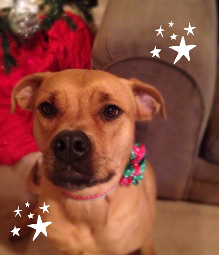 Tenley