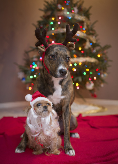 Remington and Chloe