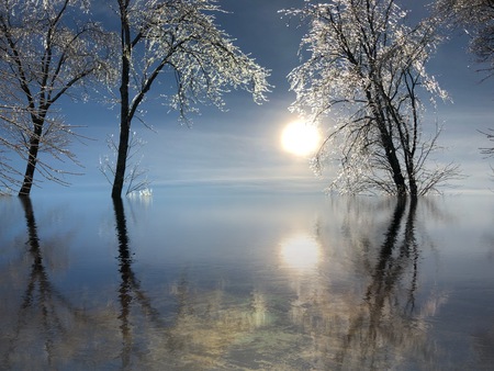 Icy Reflection