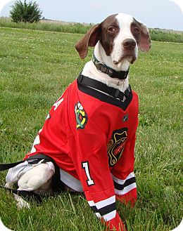 Hossa