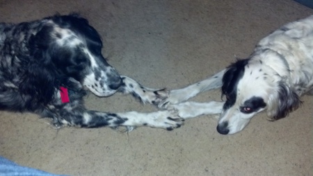 Mac & Lizzie