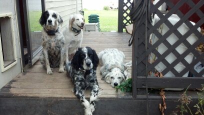 Lizzie, Meri, Mac & Buffie