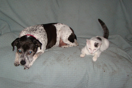 Buckwheat and Schmoopie