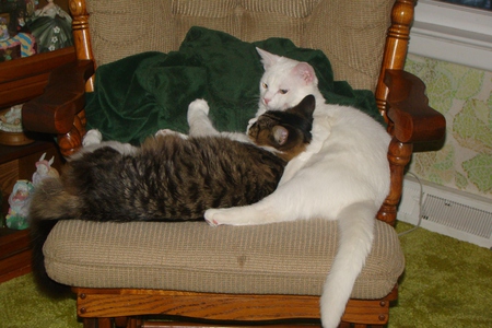 Nathaniel and Peez