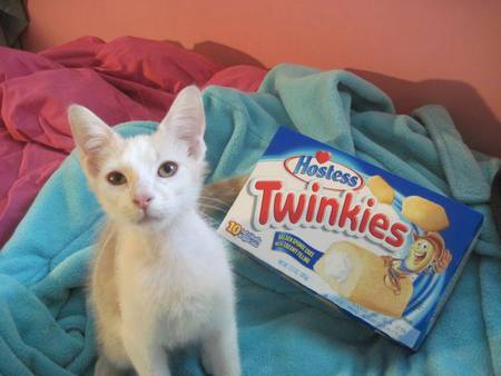 Twinky