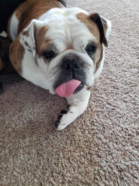 Roxie