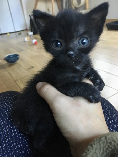 Pretty Leila 