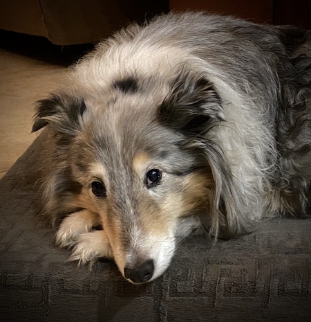 Mocha