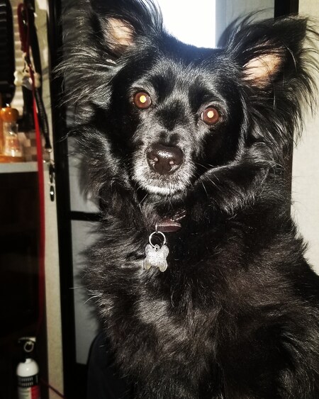 Duncan