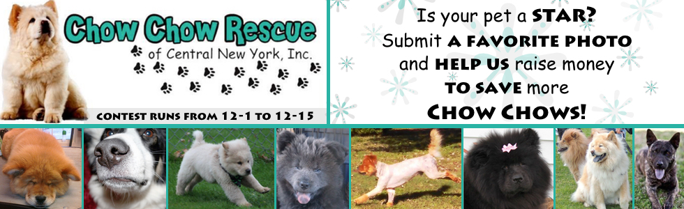 Banner for 2014 Pet Photo Contest
