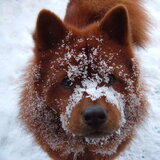 Entry image for Lukas