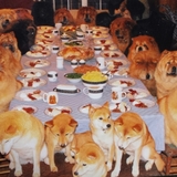 Entry image for Rio Thanksgiving