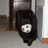 Entry image for Jake 